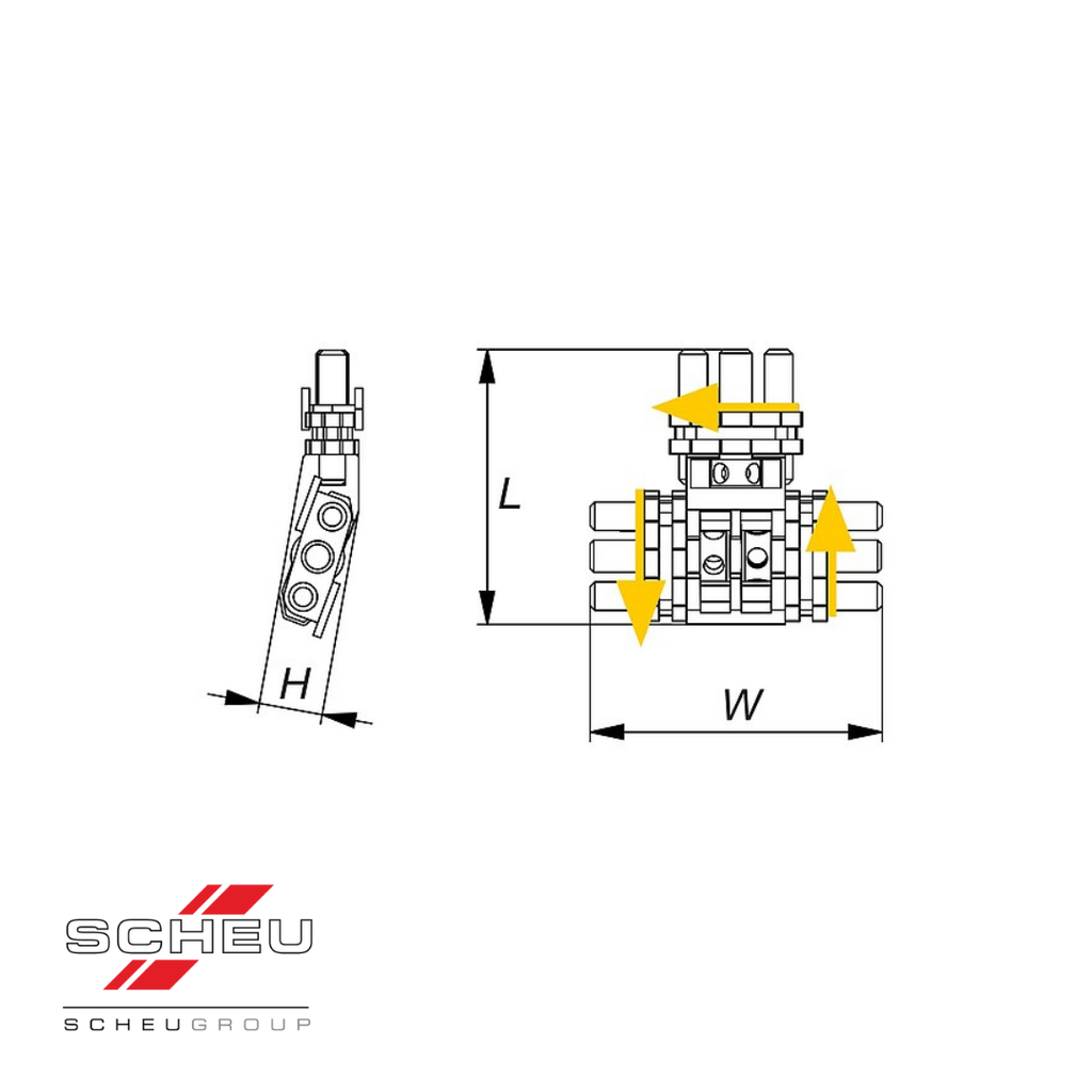 VECTOR 730 acc. to Bertoni